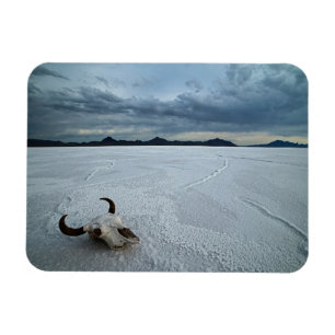 Desert   Bonneville Salt Flats Utah Magnet