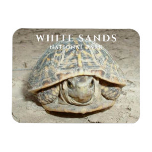 Desert Box Turtle White Sands National Park Magnet