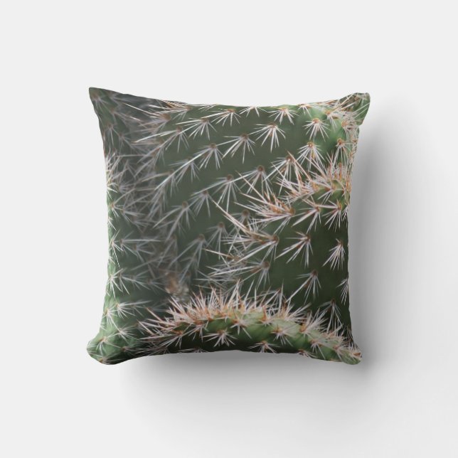 Desert Cactus and Thorns Outdoor Pillow (Front)