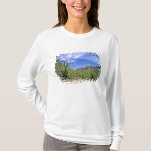 Desert cactus at Organ Pipe National Monument, T-Shirt