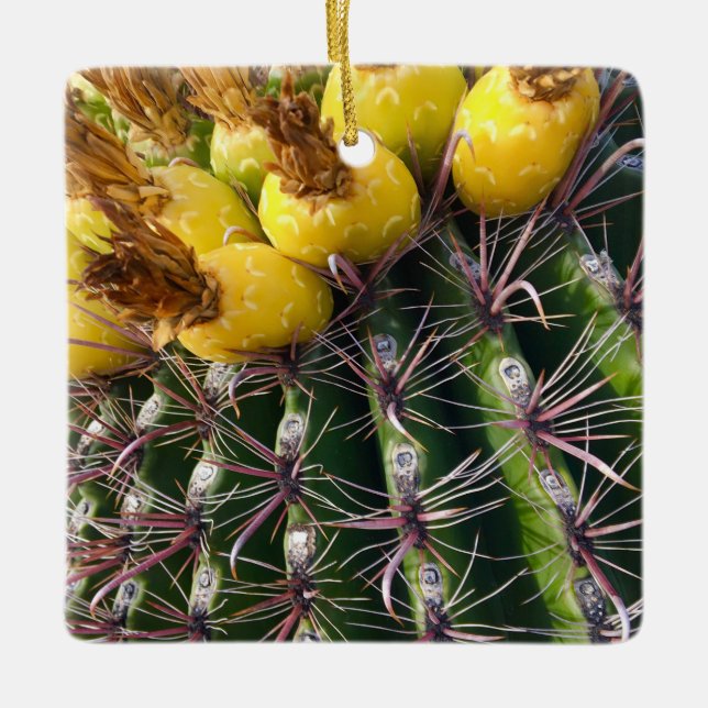 Desert Cactus Blooming Merry Christmas Ceramic Ornament (Front)