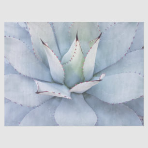 Desert Cactus Close-up Decoupage Tissue Paper