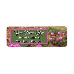 Desert Cactus Fleurs sauvages Adresse :