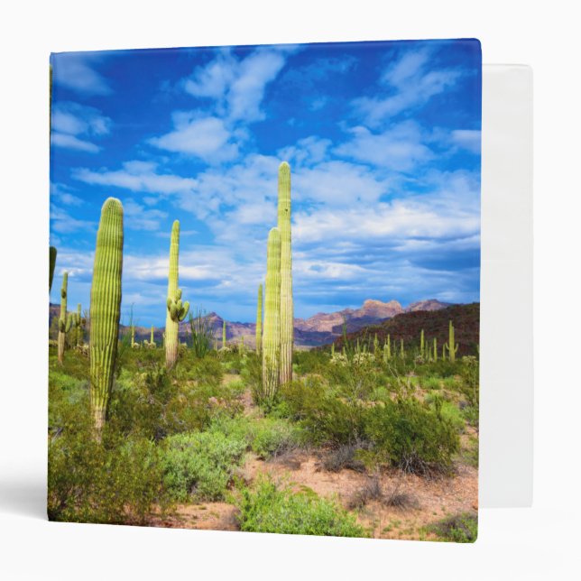 Desert cactus landscape, Arizona Binder (Front/Inside)