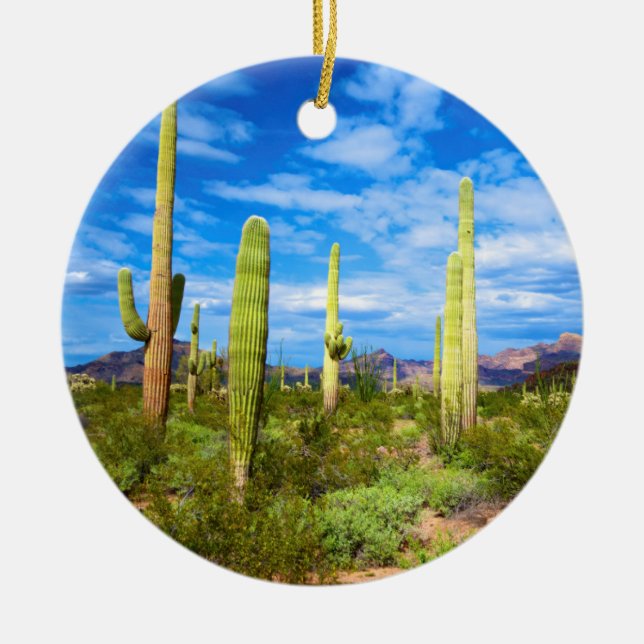 Desert cactus landscape, Arizona Ceramic Ornament (Front)