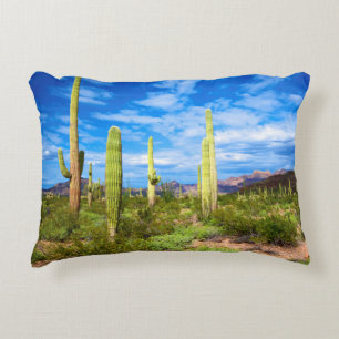 Desert cactus landscape, Arizona Decorative Pillow