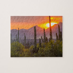 Desert cactus sunset, Arizona Jigsaw Puzzle