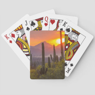 Desert cactus sunset, Arizona Playing Cards