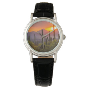 Desert cactus sunset, Arizona Watch