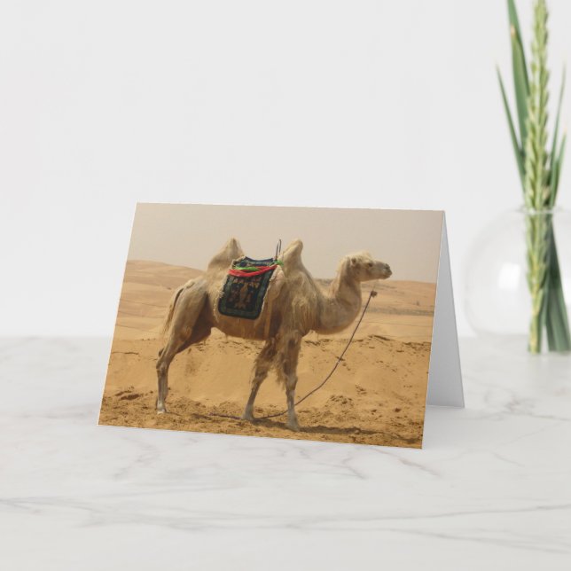 Desert Camel Blank Card (Front)
