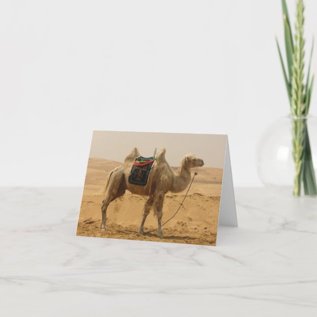 Desert Camel Blank Card (Front)