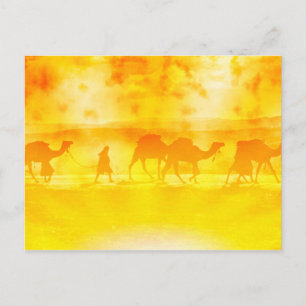 Desert Camel Caravan Sunburst Postcard