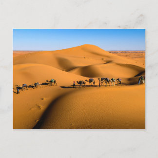 DESERT CAMEL TRAIN - Sand Dunes in Tamnougalt Postcard