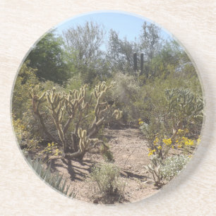 Desert Coaster