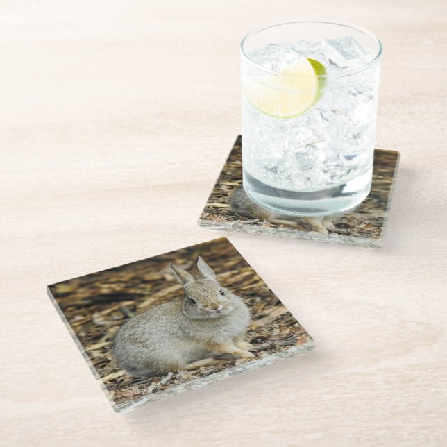 Desert Cottontail Glass Coaster (Angled)