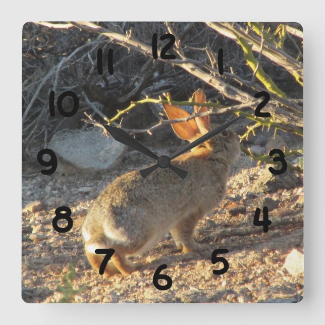 Desert Cottontail Rabbit Clock (Front)