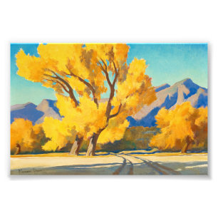 Desert Cottonwoods, Arizona by Maynard Dixon Photo Print