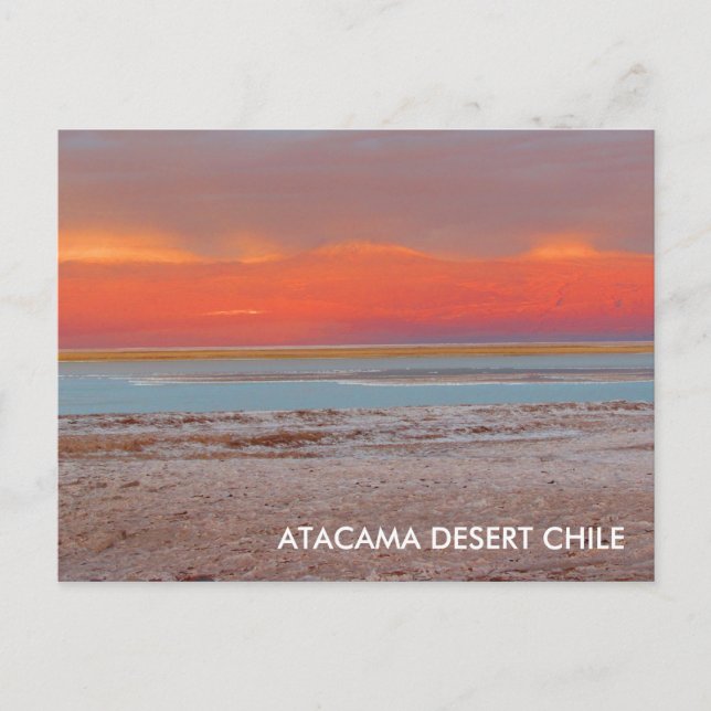 Désert d'Atacama, Chili Carte postale (Devant)