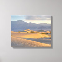Desert Dawn