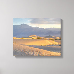 Desert Dawn Canvas Print