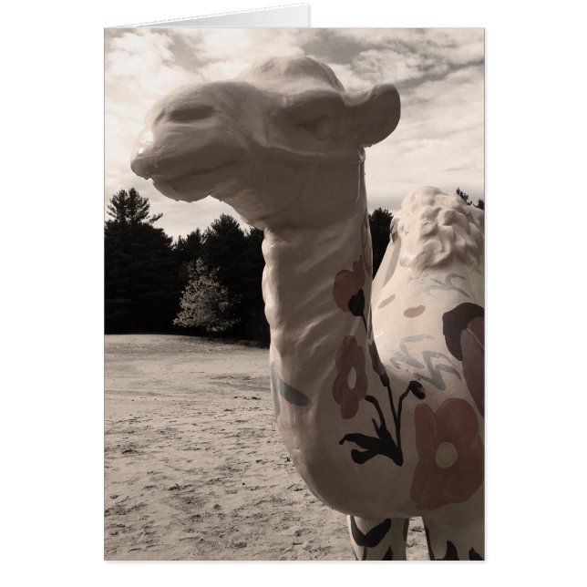 désert de maine (Devant)