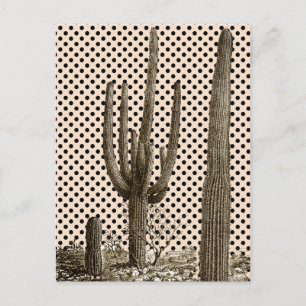 Desert diva postcard