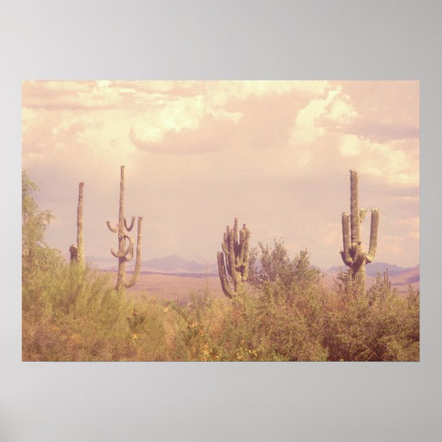 Desert Dream Records Poster (Front)