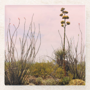 Desert Dreams New Mexico Agave & Ocotillo Glass Coaster