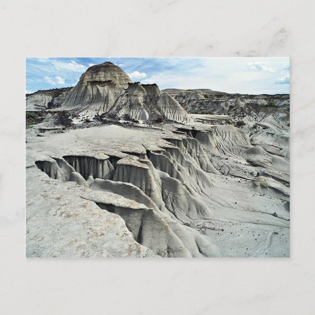 Desert erosion formation, Dinosaur Provincial Park Postcard (Front)
