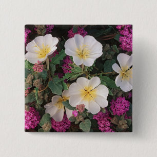 Desert Evening Primrose and Desert Sand Verbena, 2 Inch Square Button