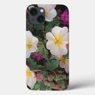 Desert Evening Primrose and Desert Sand Verbena, iPhone 13 Case