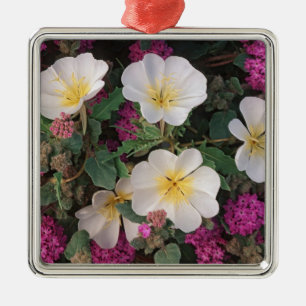 Desert Evening Primrose and Desert Sand Verbena, Metal Ornament
