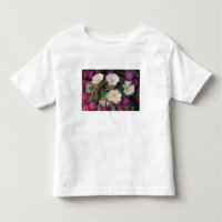 Desert Evening Primrose and Desert Sand Verbena,