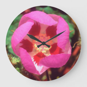 Desert Five Spot Wildflower Large Clock