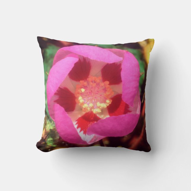 Desert Five Spot Wildflower Throw Pillow (Front)