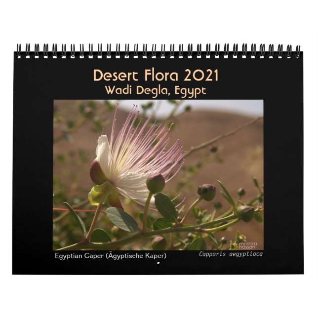 Desert Flora 2021. Egypt Calendar (Cover)