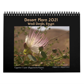 Desert Flora 2021. Egypt Calendar