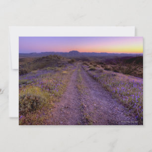 Desert Gravel Road