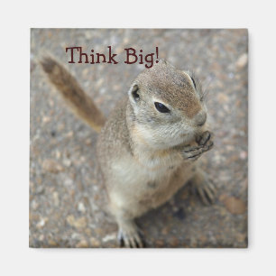 Desert Ground Squirrel Animal Motivational Magnet