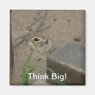 Desert Ground Squirrel Animal Motivational Magnet