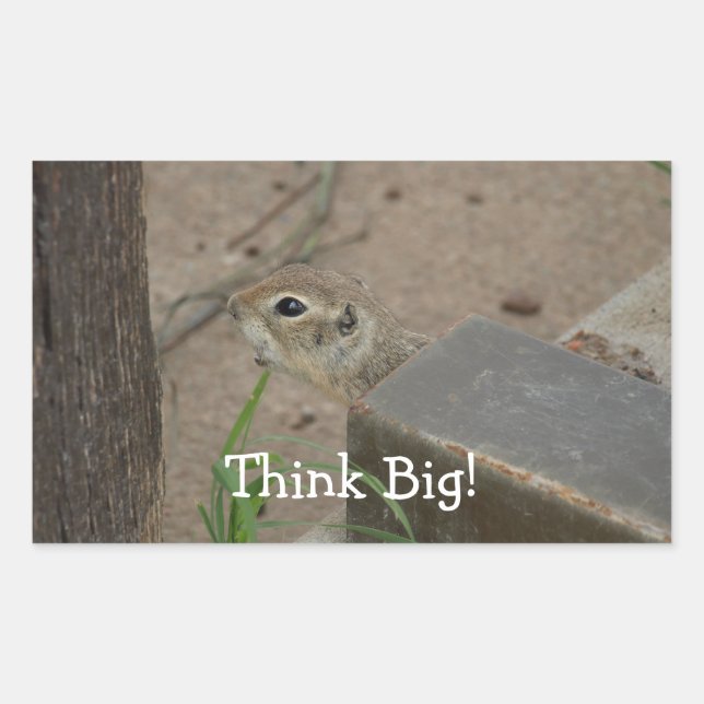 Desert Ground Squirrel Animal Motivational Sticker (Front)