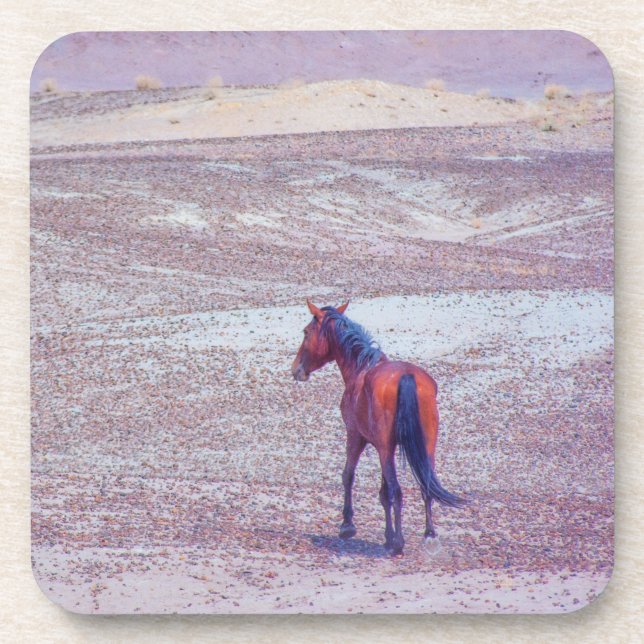 Desert Horse P8640 Coaster (Front)