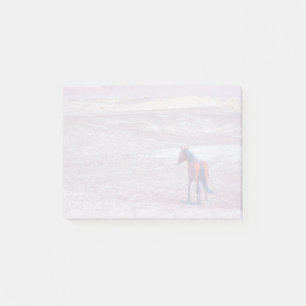 Desert Horse P8640 Post-it Notes