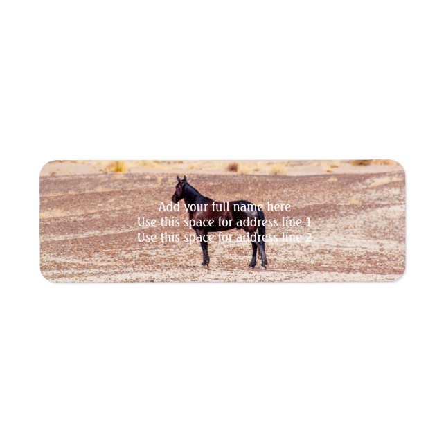 Desert Horse P8664 (Front)