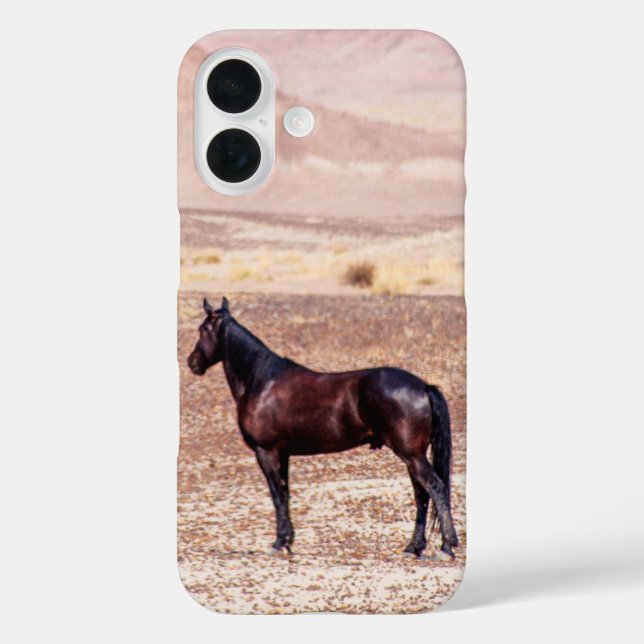 Desert Horse P8664 Case-Mate iPhone Case (Back)