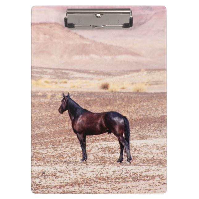 Desert Horse P8664 Clipboard (Front)