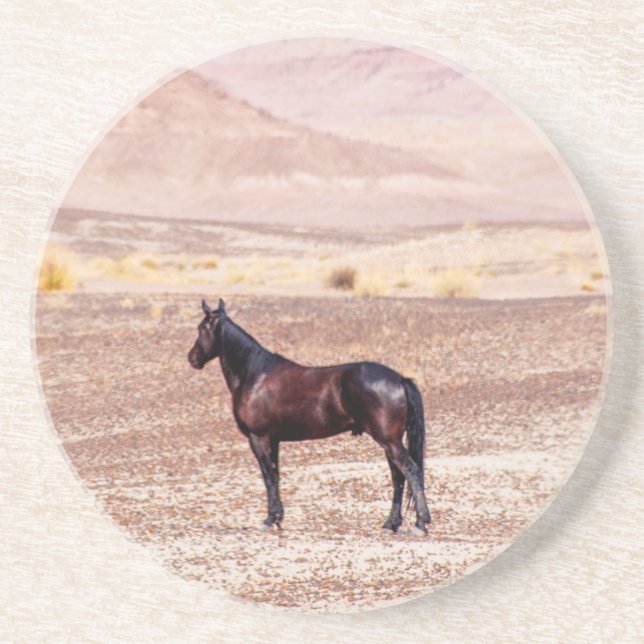 Desert Horse P8664 Coaster (Front)