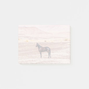 Desert Horse P8664 Post-it Notes