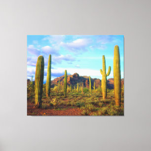 Desert in springtime canvas print
