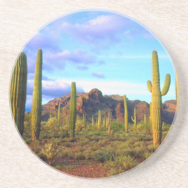 Desert in springtime coaster (Front)